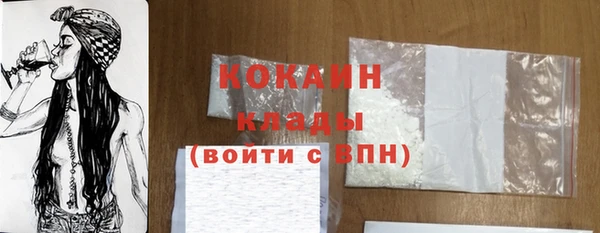 сатива Мегион