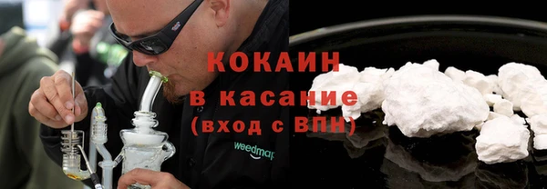 сатива Мегион