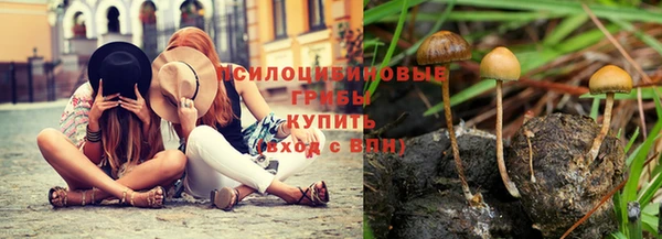 прущий лед Магадан