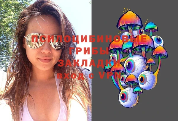 сатива Мегион