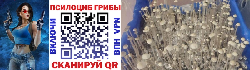 Галлюциногенные грибы ЛСД  Купить где  Нефтекумск 